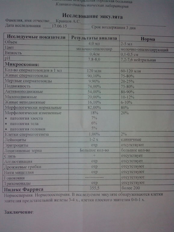 Нормоспермия. Спермограмма нормоспермия. Спермограмма нормозооспермия. Показатели нормоспермия. Заключение нормоспермия.