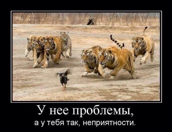 Если вдруг навеет-смотреть и не париться! )