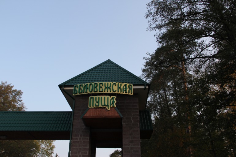 Беловежская пуща