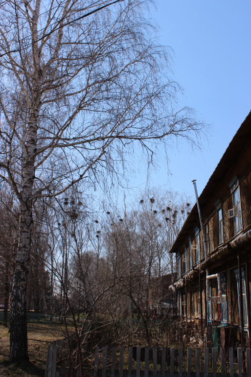 Сурск, садики, домишки и Ленин