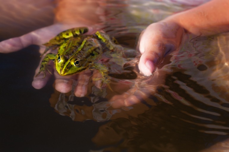 The princess and the frog.