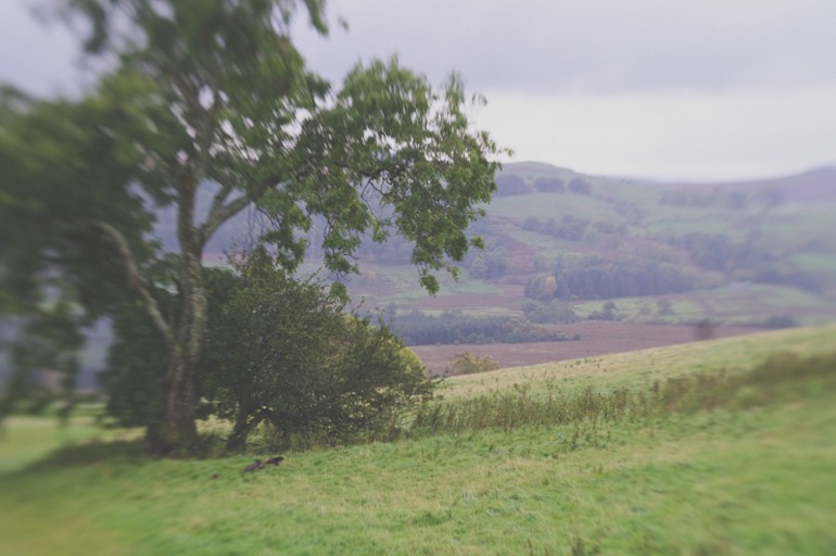 Такой Шотландию вы еще не видели