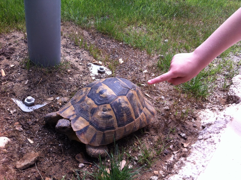 Наш отдых в Турции