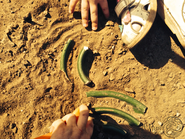 Найти Дракона!!!!