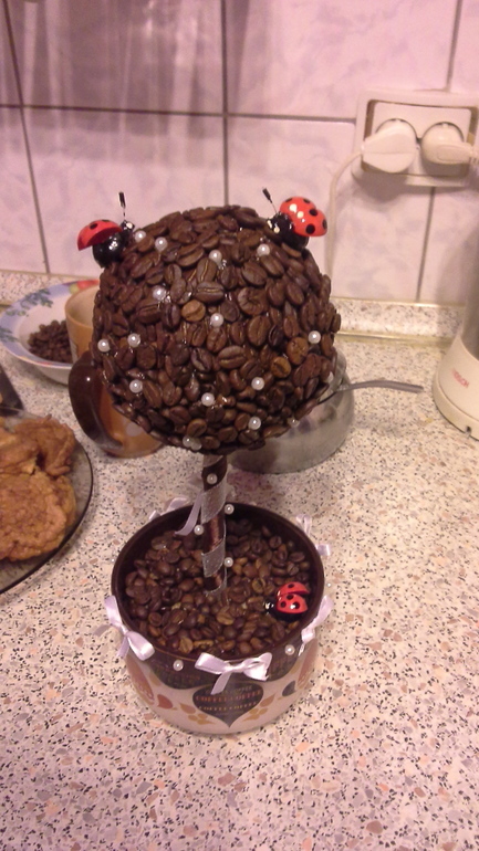 кофейное дерево