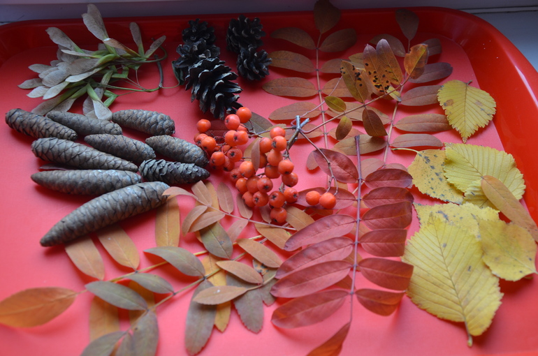 Осенние тематические деньки