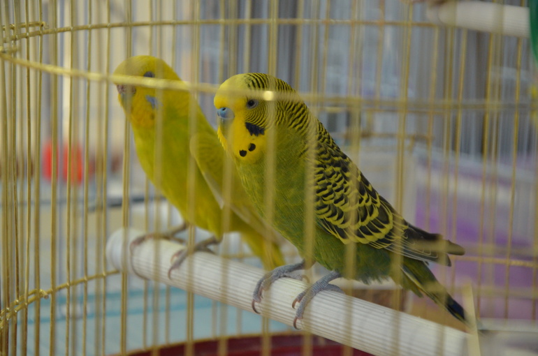 В отпуск с ребенком.