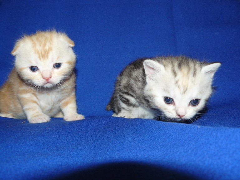 Наши малыши!