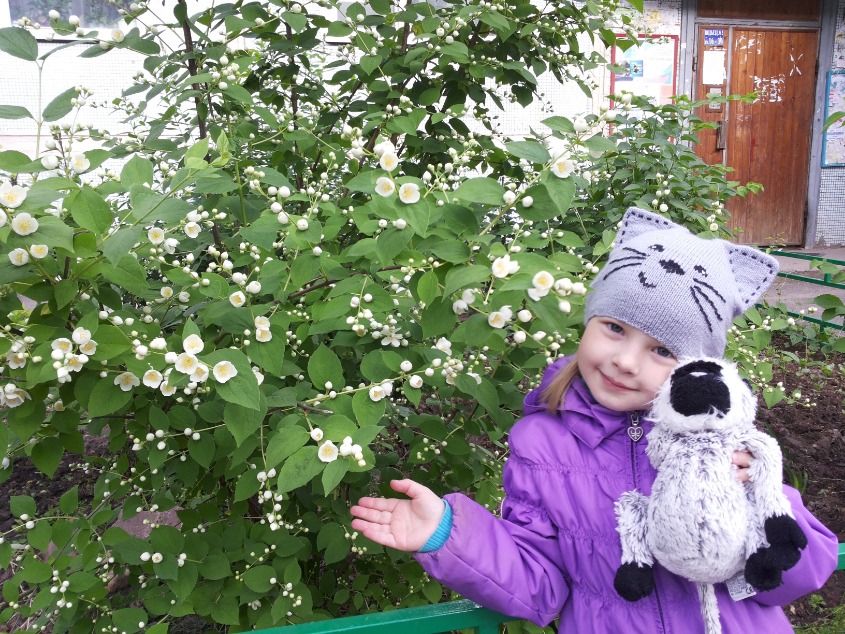 Картинка