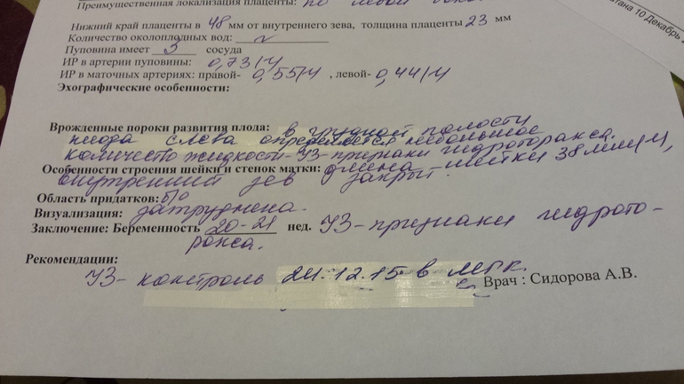 Дородовый патронаж. Дородовый патронаж образец. Дородовый патронаж образец заполнения. Схема первого дородового патронажа заполненный. 2 Дородовый патронаж пример.