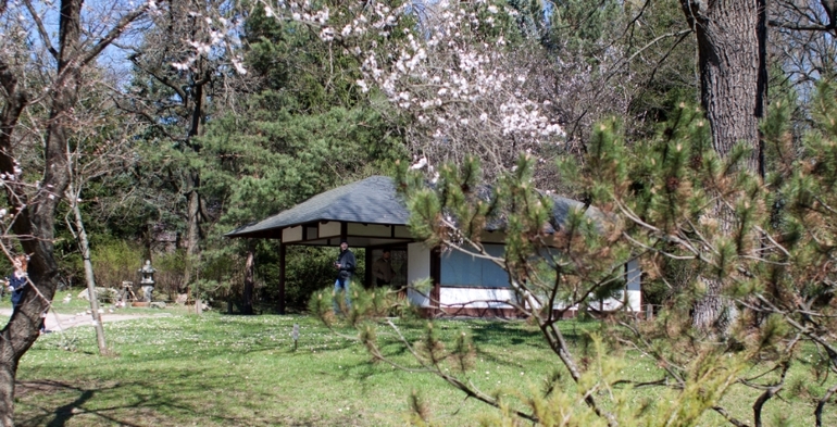 Японский сад