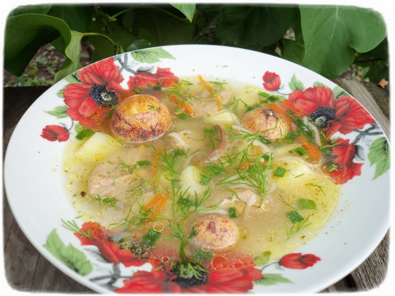 Вермишелевый супчик с гусиными потрошками