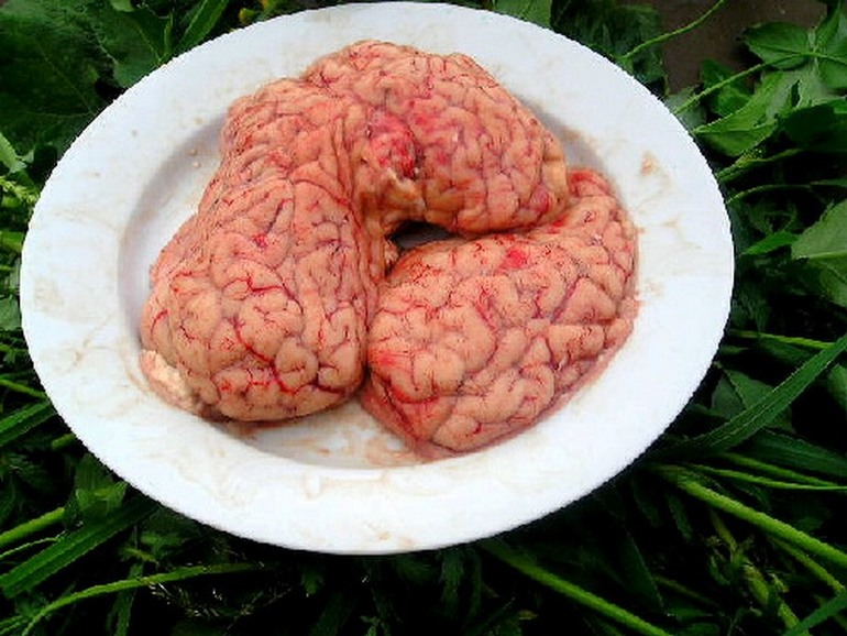 Рецепт: Котлеты из свиных мозгов - бюджетное блюдо