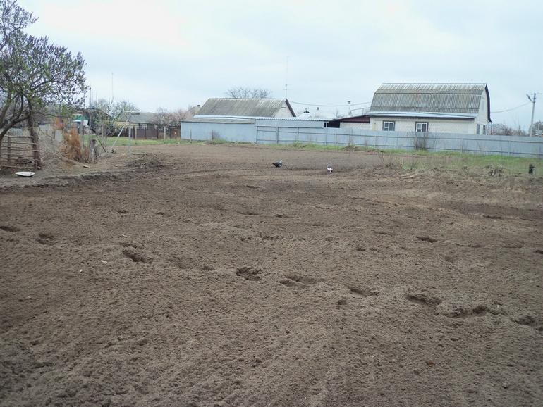 Пришла пора бораться за  ☺