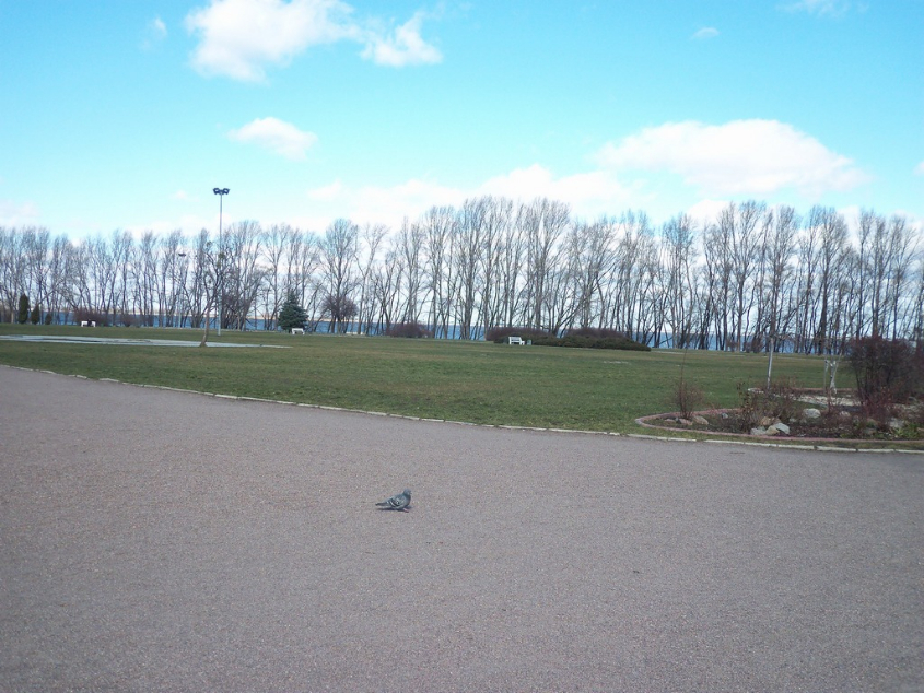 Долина роз.