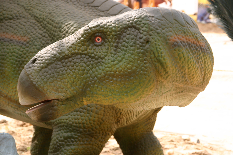 Динопарк на ВВЦ.