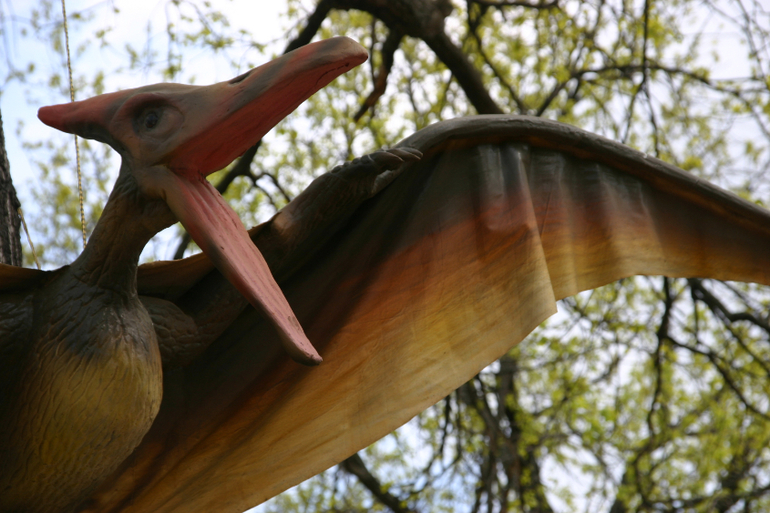 Динопарк на ВВЦ.