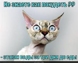 приколы про похудение картинки смотреть