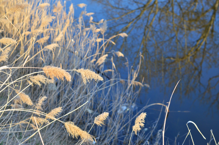 Моя малая Родина..