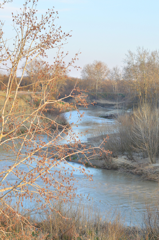 Моя малая Родина..