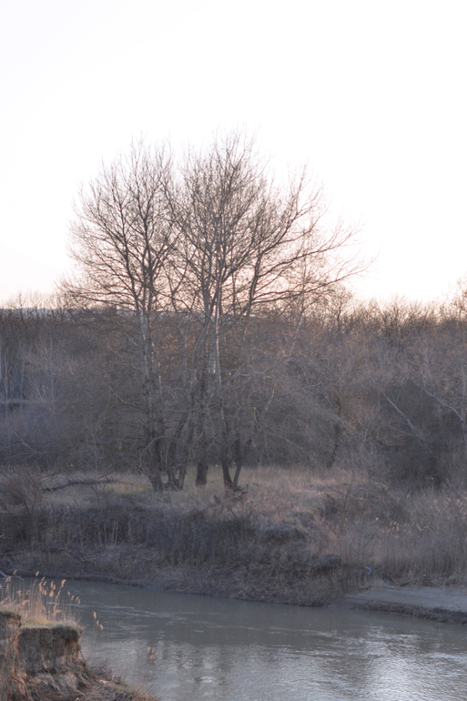 Моя малая Родина..