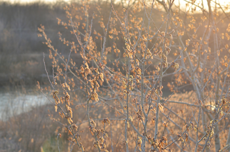 Моя малая Родина..