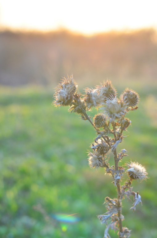 Моя малая Родина..