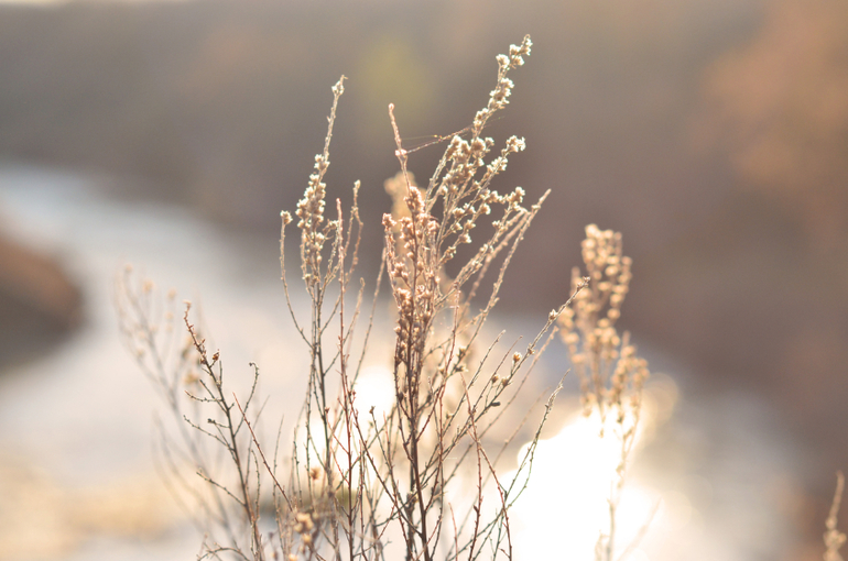 Моя малая Родина..