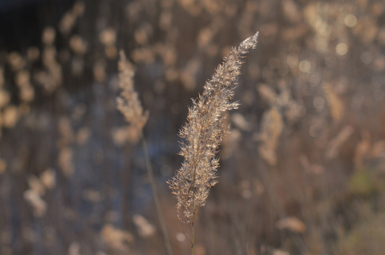 Моя малая Родина..