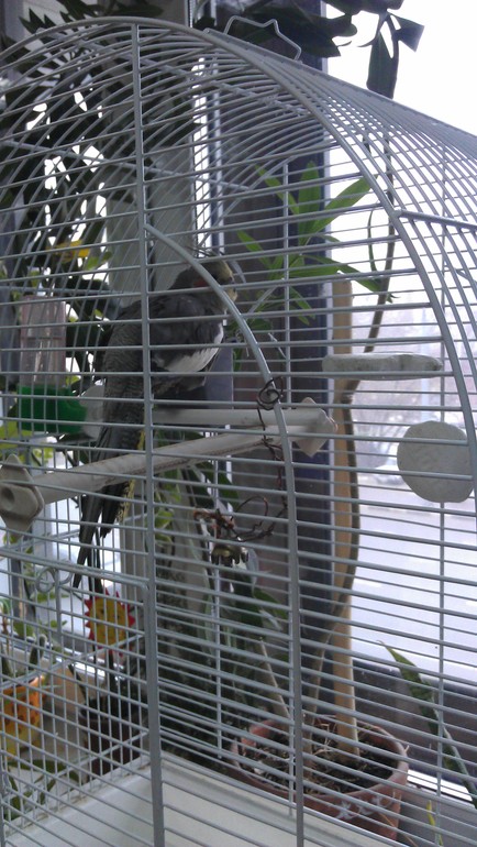 Комната Сказок