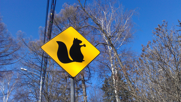 Вернулись! Было здорово!!!!