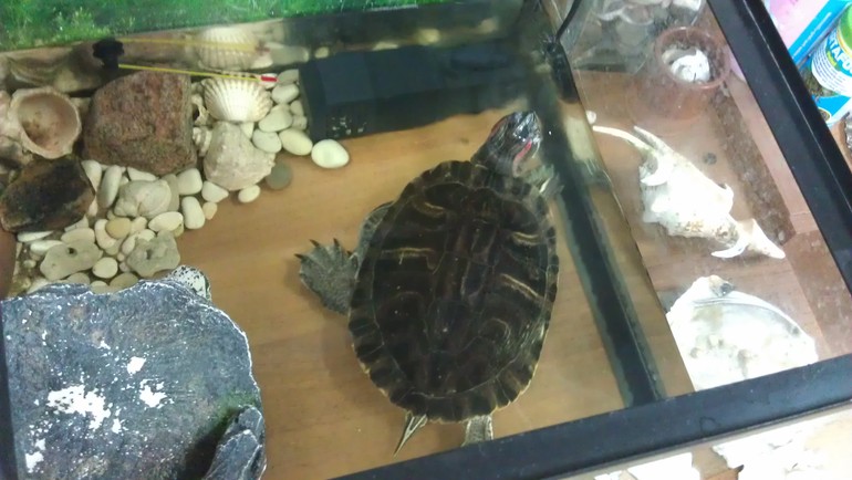 Комната Сказок