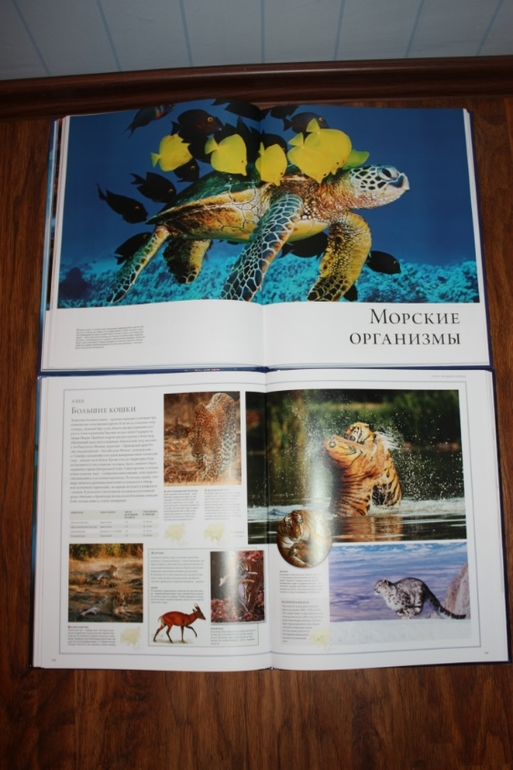 Дорогой, я не знаю, куда делись все деньги... Или апрельско-майский лабиринт