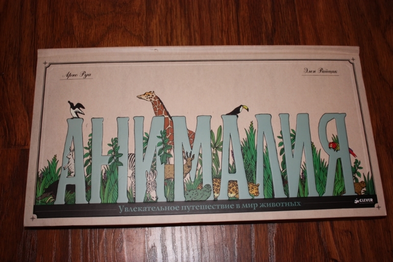 Дорогой, я не знаю, куда делись все деньги... Или апрельско-майский лабиринт