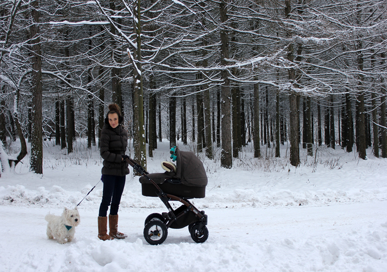 Погуляли всей семьёй)