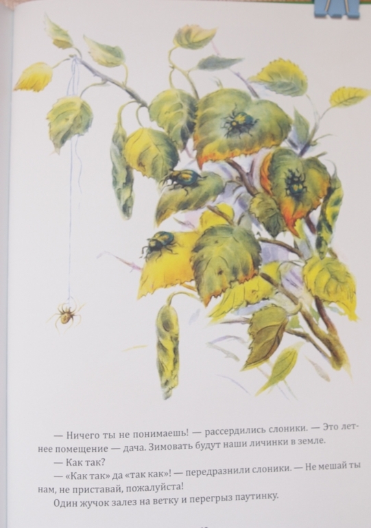 Репортаж со стадиона