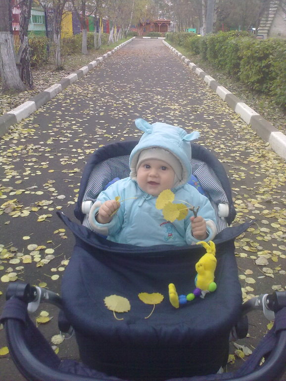 ЗОЛОТАЯ ОСЕНЬ...