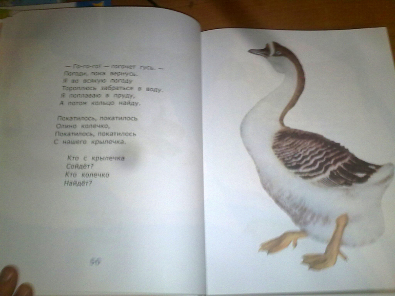 Маршак! Маршак!