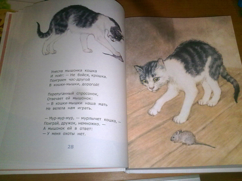 Маршак! Маршак!