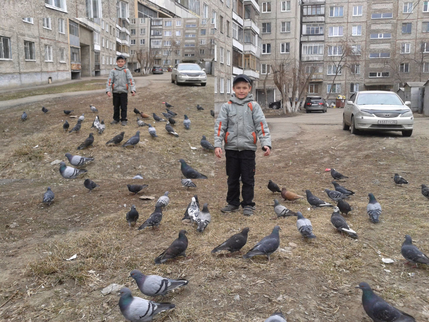Картинка