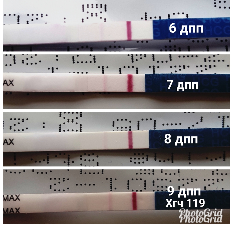 10 день криопереноса. 9 ДПП пятидневок тест. ХГЧ на 9 ДПП пятидневок. ХГЧ на 8 ДПП пятидневок 9. Тест на 10 ДПП пятидневок.