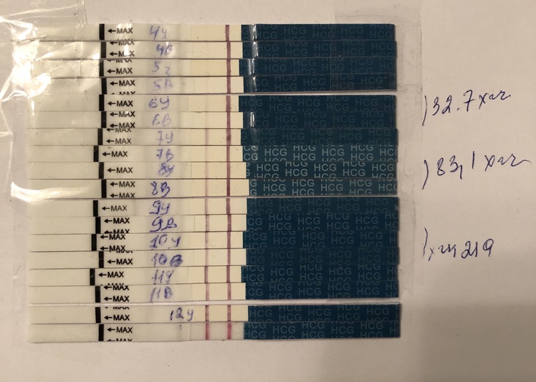 Беременность после криопереноса отзывы. Динамика тестов на беременность по ДПП. Динамика ХГЧ по тестам на беременность. Динамика тестов при эко.
