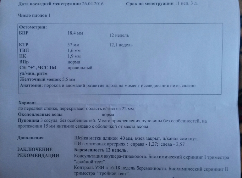 1 скрининг при беременности. УЗИ 1 скрининга беременности заключение. Заключение УЗИ на 12 неделе беременности. УЗИ 13 недель беременности заключение. УЗИ 10-11 недель беременности заключение.