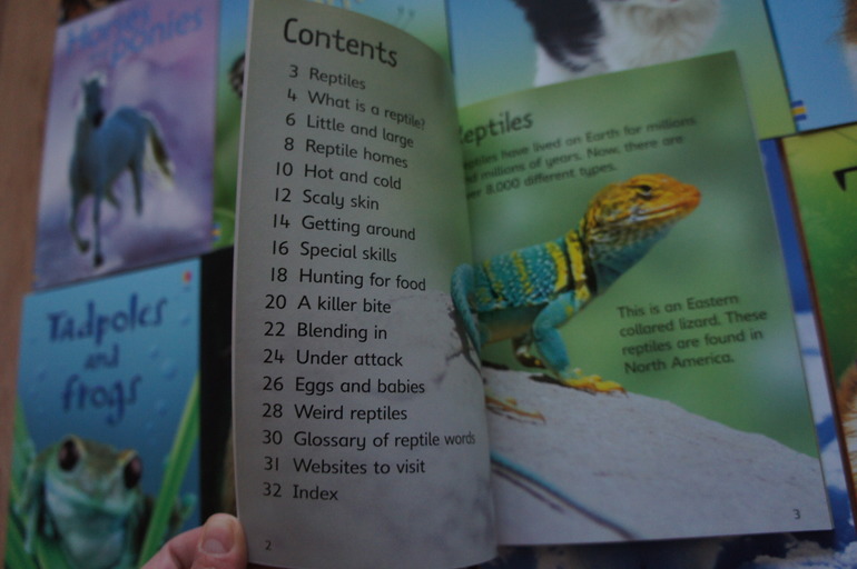 Книги для чтения на английском