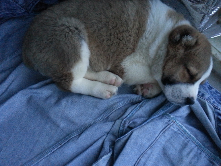 ребенок) как же мы тебе рады)))