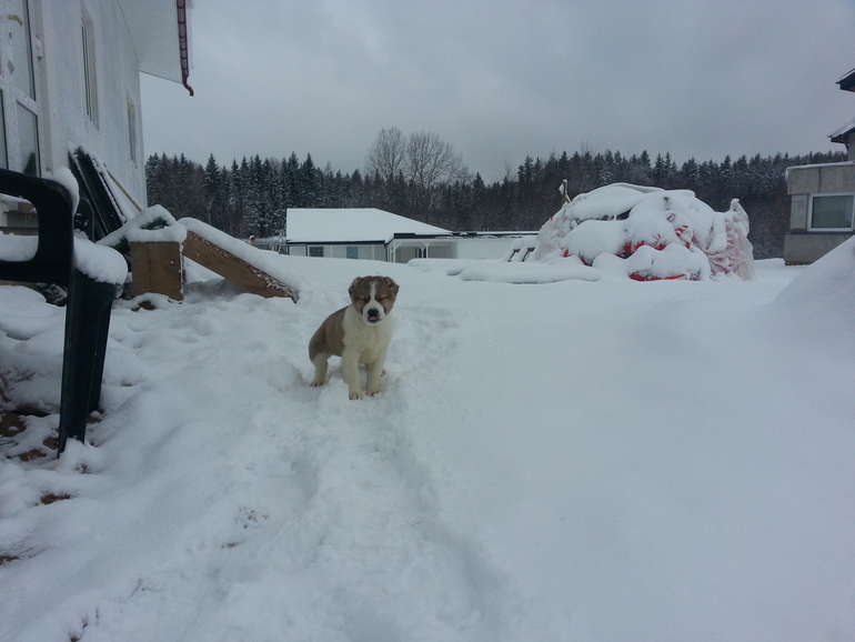 ребенок) как же мы тебе рады)))