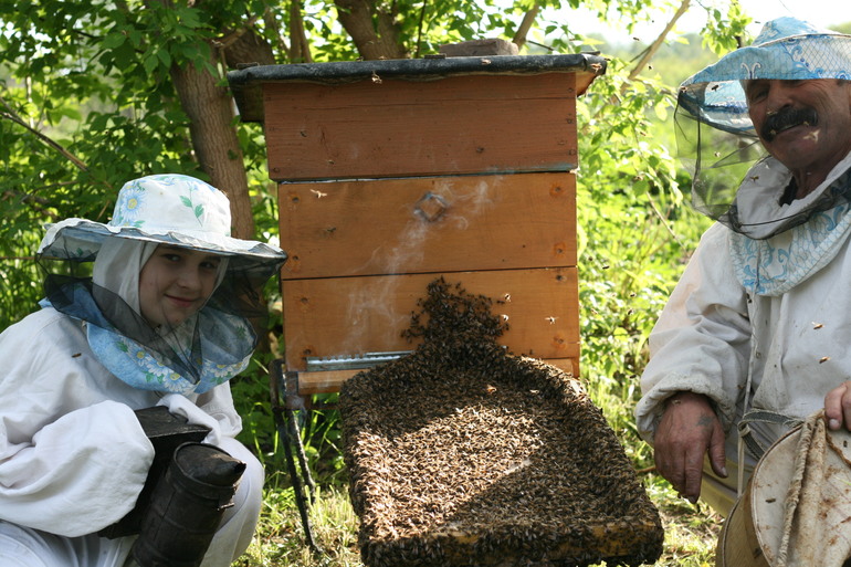 Летние каникулы.