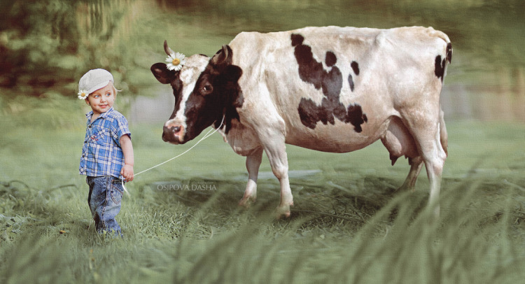 Привет Друзья!!!