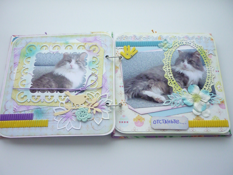 Мини альбом про нашего Фунтика