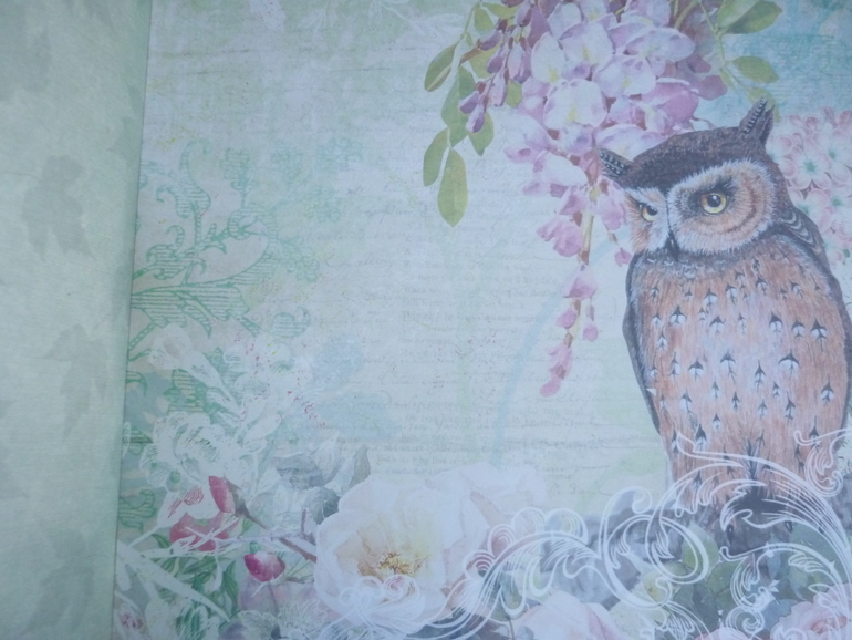Наборы бумаги с совами